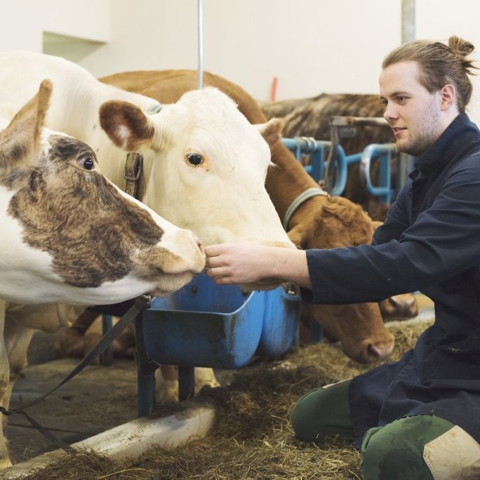 20170201_hkb_vogafjos_stemning00061