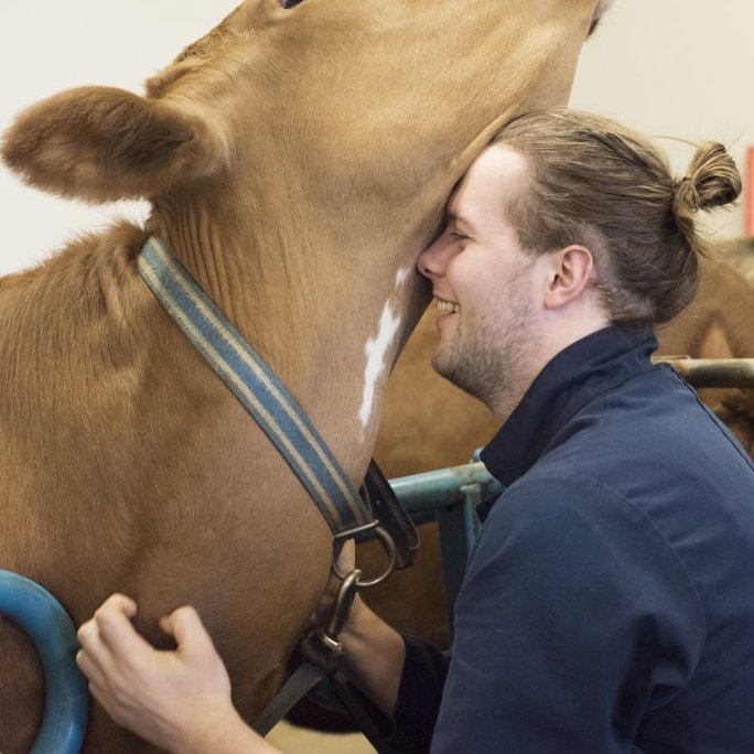 20170201_hkb_vogafjos_stemning00063