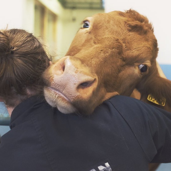 20170201_hkb_vogafjos_stemning00065-2