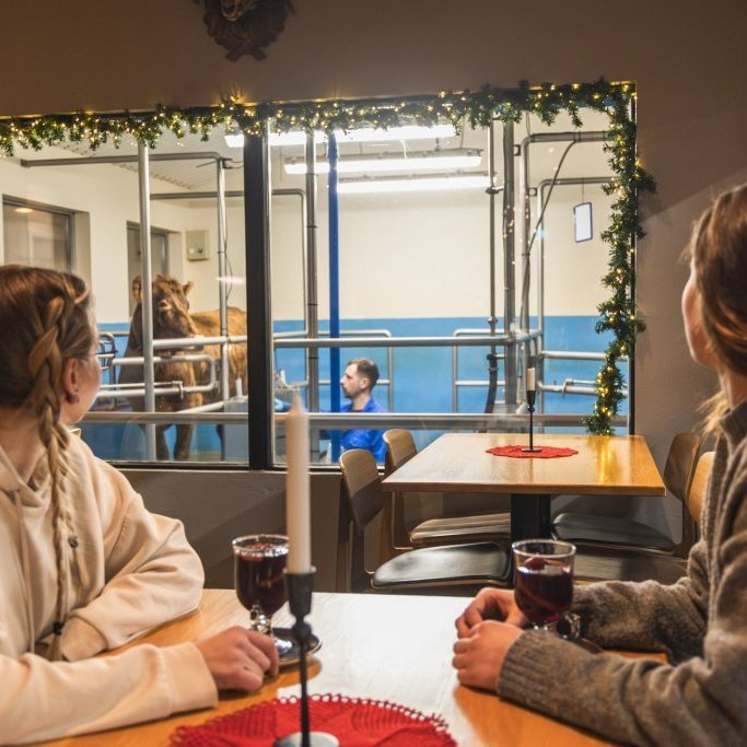 img_6502-enhanced-nra