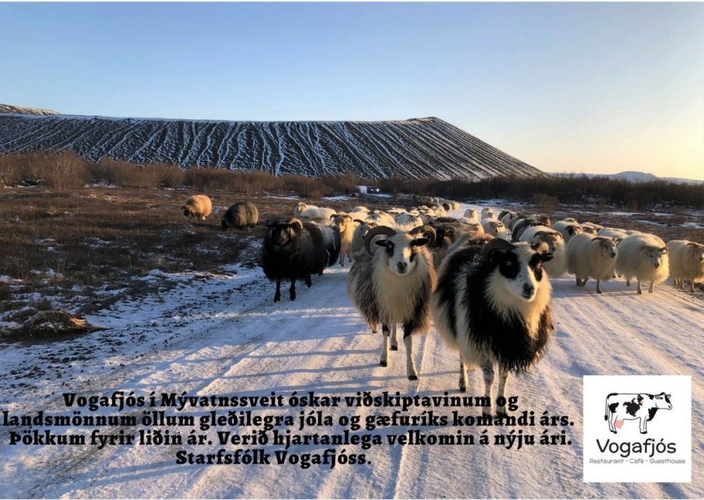 Vogafjós closed for winter holidays 2024/2025