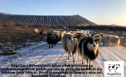 Vogafjós í vetrarfríi 2024/2025
